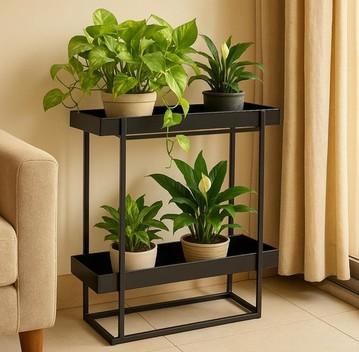 Premium Plant Collection